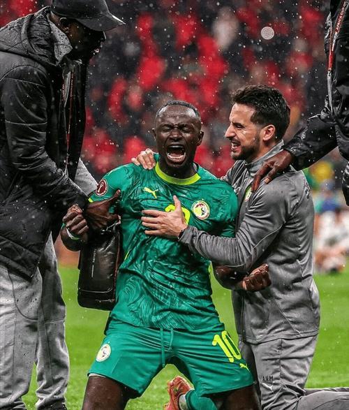 官方：塞内加尔非洲杯决赛中途弃赛被剥夺冠军 改判摩洛哥3-0夺冠